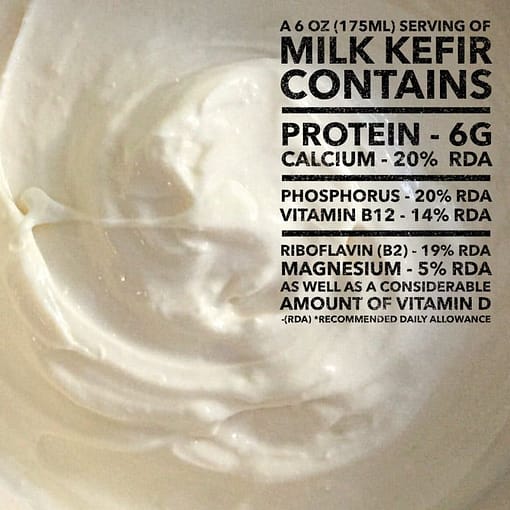 Milk Kefir - what it contains