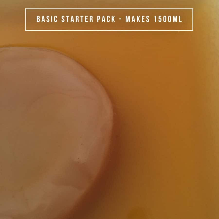 Organic Kombucha - Basic Starter Pack - 1.5L