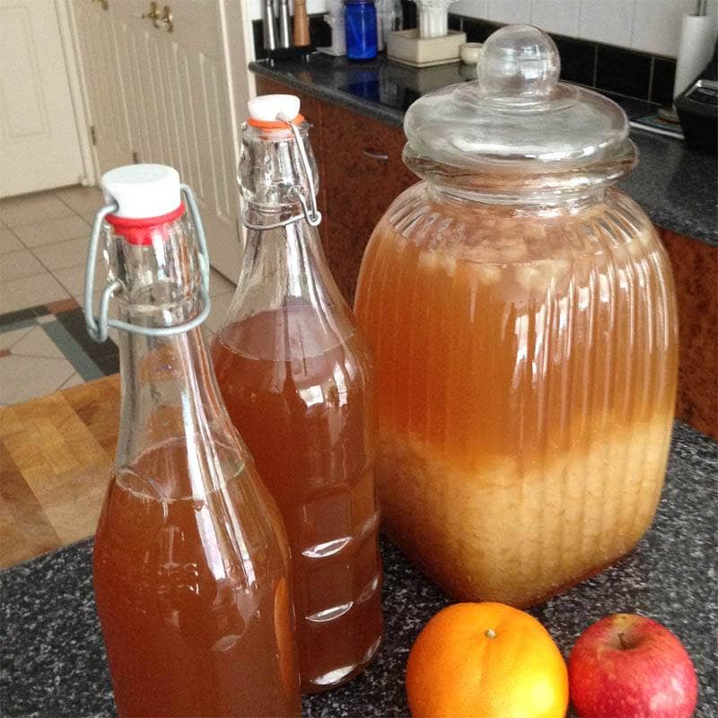 Assist your immune system with water kefir grains